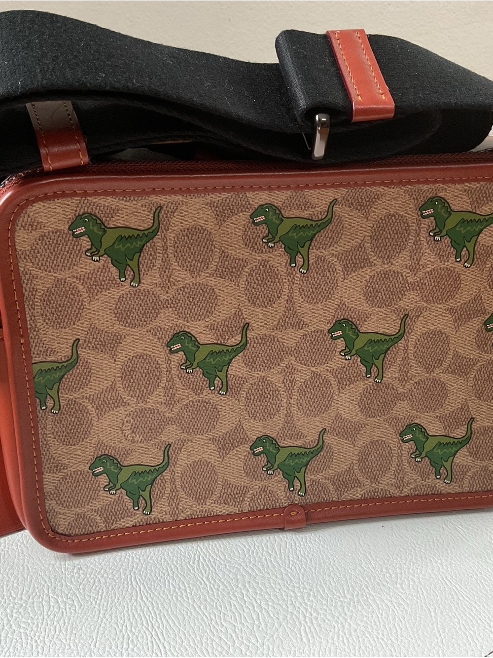Coach Charter Crossbody 24 in Signature Canvas with Rexy Print